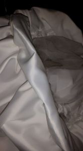 10882093_10206661064431770_2183491806654381944_n