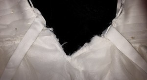 10985220_10206661066791829_1112564245723739730_n