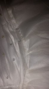 11050183_10206661067551848_3238621674044431707_n