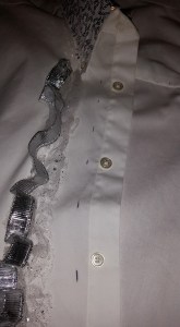 11072777_10206645678847140_2484484744537367509_n