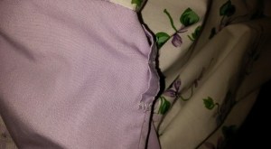 11011289_10206737590544875_837687126372746135_n