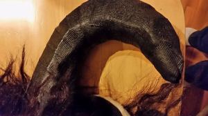 11018100_10206806376064470_1826901939078268954_n