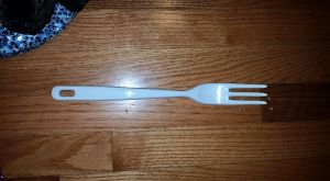 11079703_10206711260366637_5638760254741889886_n