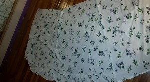 11149250_10206738249281343_3735734304946695277_n