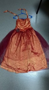 1507858_10206711210605393_1028325600646879479_n