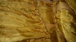 1555467_10206711201285160_836147685417548932_n