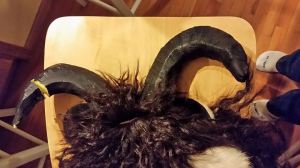 1610915_10206806376624484_162707003700408737_n