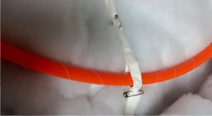 11011681_10206911864101605_6209194044935751841_n