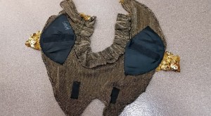 11067950_10206911872981827_6116646056002421788_n