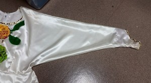 11200922_10206911863061579_3442718502021628869_n