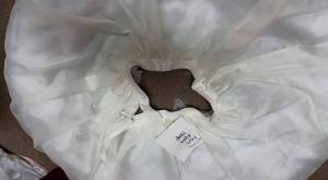 13724_10206911863421588_344622285483227296_n