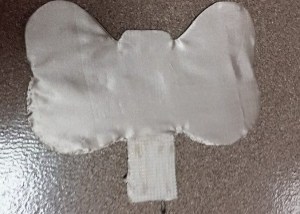 11188411_10206911875301885_6608772419943099477_n