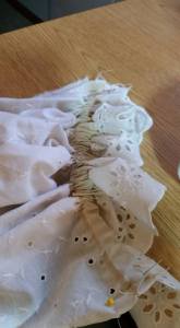 11220479_10207441853110999_665359824179078518_n