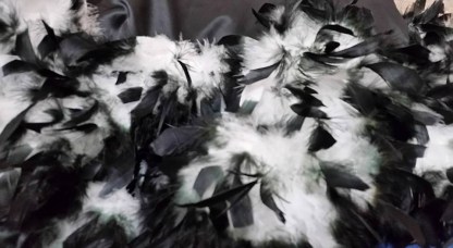 11665427_10207442445565810_4019194946893096844_n