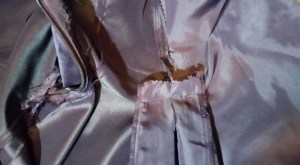 11666232_10207441888351880_5357934307066720687_n