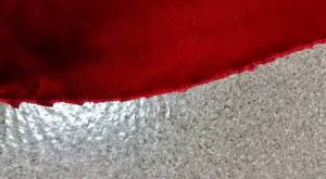 11231916_10207987338987805_219765880794872200_n