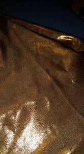 11863502_10207892482136443_77836573061134242_n