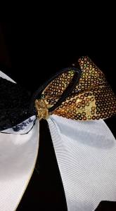 pony o secured by hot glued ribbon.