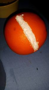 11896098_10207966263340927_2490343803189144886_n