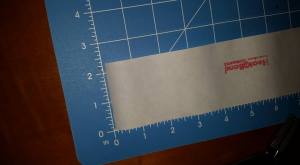 11898653_10207892491856686_2308334533723539985_n