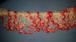 11898851_10207970628570055_775567028805476798_n