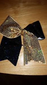 11902262_10207892493496727_8465441862773931185_n