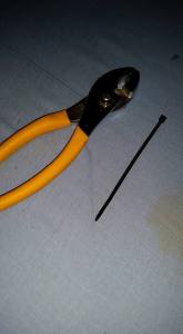 11905383_10207892484136493_3698841862498876241_n