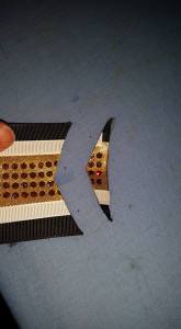 11907167_10207892484936513_3898563830675266472_n