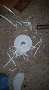 11921703_10207892481776434_2644975992771490281_n