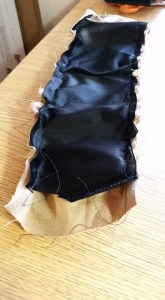 11181914_10208280484956271_4525561335582107671_n