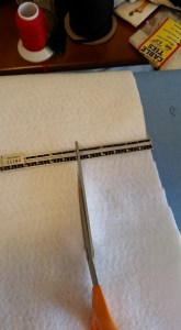 11215825_10208280473755991_8645046079893596167_n