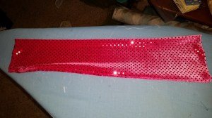 12079316_10208205916052095_985057526501674919_n