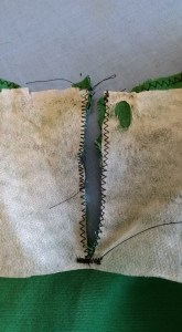 12079418_10208280498916620_1687571537007636363_n