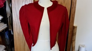 12087989_10208280465755791_986209692667356454_n