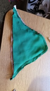 12088314_10208280482916220_8363403151356514052_n