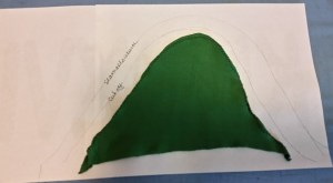 12088508_10208280493996497_5167131648431979898_n