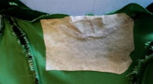 12096564_10208280781323680_2676578975262637126_n