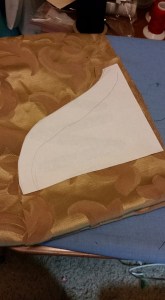 12106870_10208280493716490_6432526129122421727_n