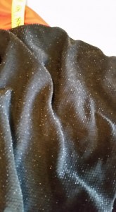 12115869_10208280467675839_2149002347306671683_n