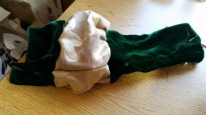 12118839_10208280483636238_5537214554048819535_n