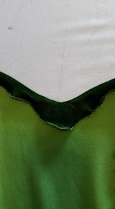 12140595_10208280599879144_7074038284956745418_n