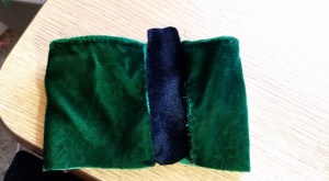 12141515_10208280486316305_5176325210195809418_n