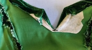 12141583_10208280497916595_6434298571615241152_n