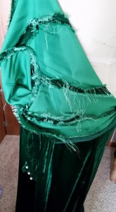 12141767_10208280602319205_6378152905582127169_n