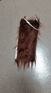 12795462_10209203387388255_7204519361973110582_n