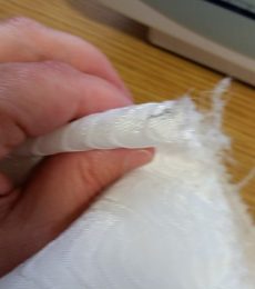 13174014_10209893878290096_846192571367303821_n