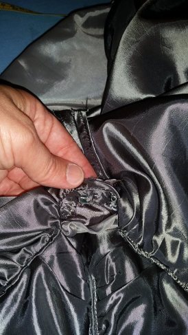 13322210_10210005851249350_163914300908620829_n