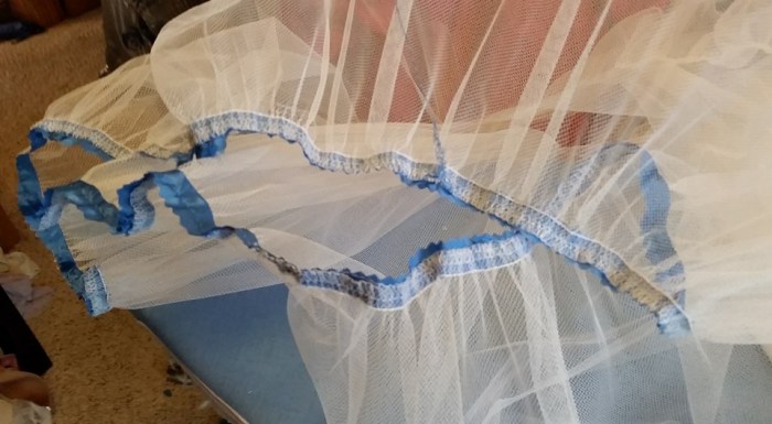 13406943_10210135231603778_5375379765224617689_n