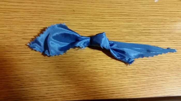 13418808_10210135214363347_3818863260063210881_n