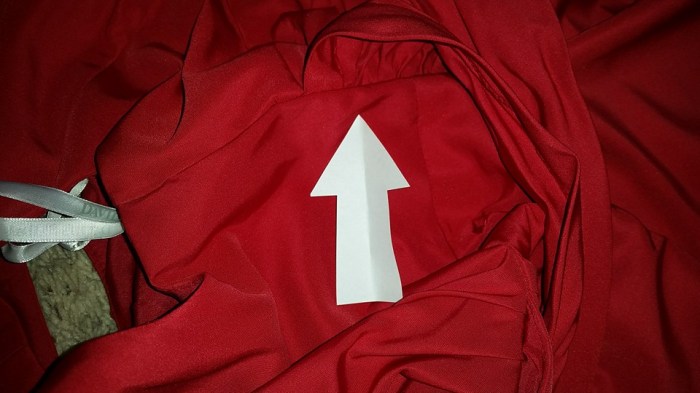 13434762_10210195515750844_7463252147170727646_n